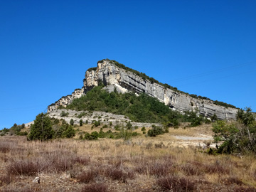 石灰岩の崖地