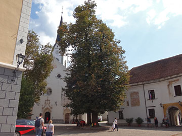 聖ペトラ教会
