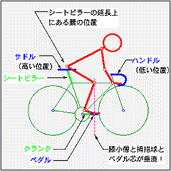 自転車 姿勢