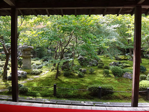 圓光寺の庭