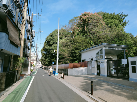 小石川植物園とその前の通り