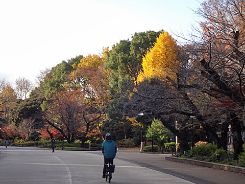 紅葉の残る上野公園