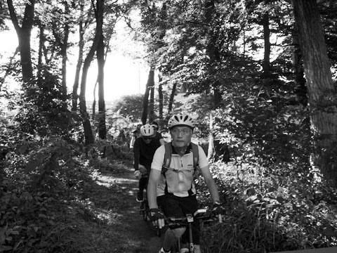 林の中の古道（2023年6月）