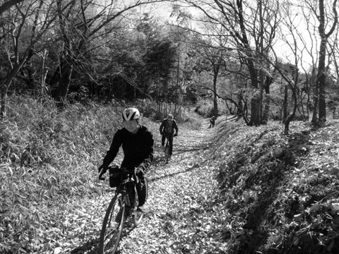 落ち葉踏み古道（2023年12月）