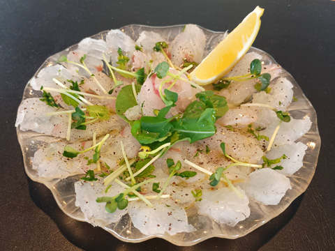 コチのカルパッチョ