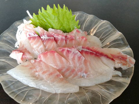 ヘダイの刺身