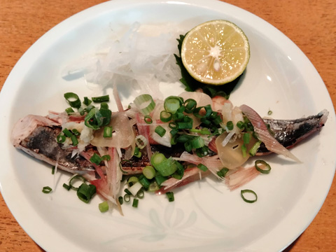 スマガツオのタタキ