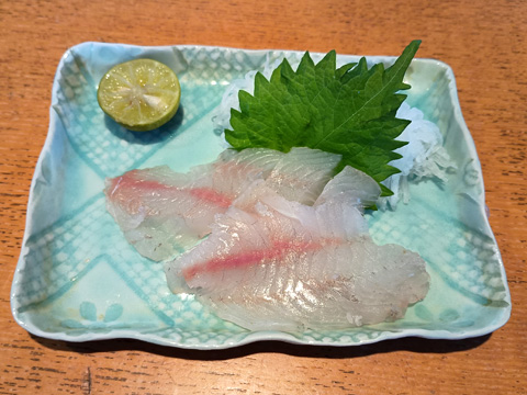 イシダイの刺身