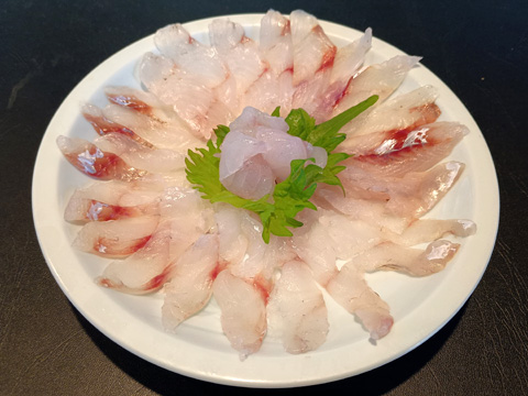 ホウボウの刺身