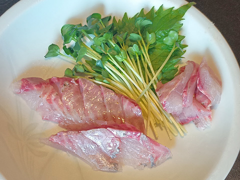 イサキの刺身