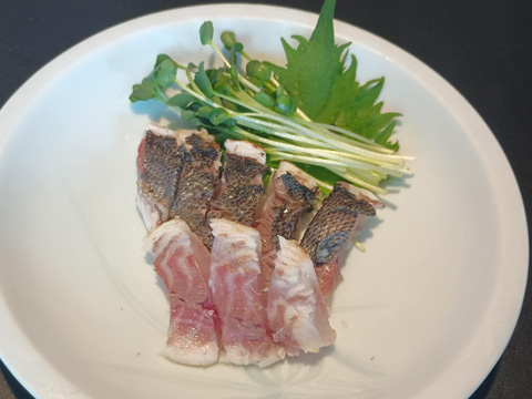 イサキの焼霜造り