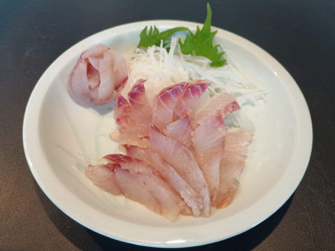 メジナの刺身