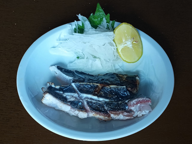 サゴシ（サゴチ）の焼霜造り