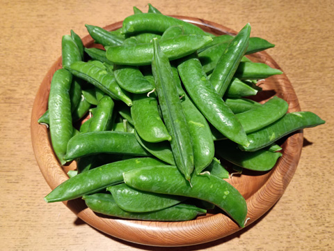 鞘付きのグリンピース