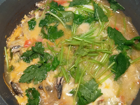 転用キビナゴの卵とじ