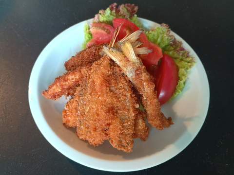 ムツッコフライ