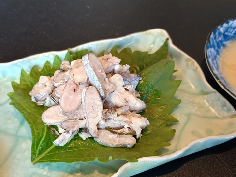 太刀魚の背ごし