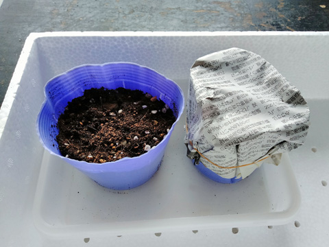 一方の新聞紙を取り除いたポット