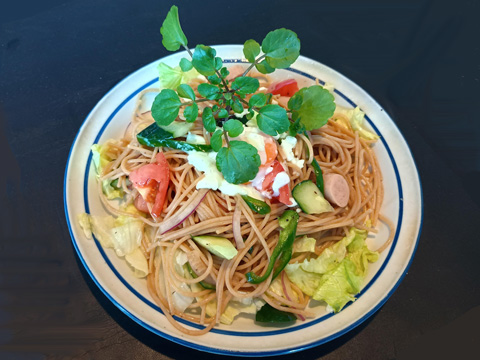 クレソン をトッピングしたサラスパ