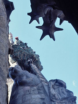 星と『生命の木』