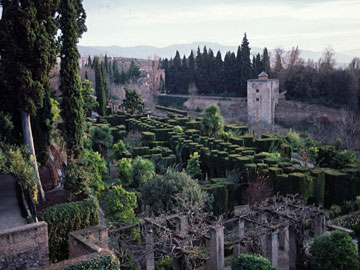 下の庭園を見下ろす