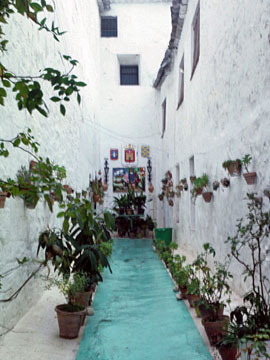 白く細長い中庭