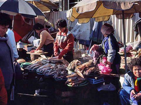 釜山　チャガルチ市場
