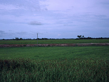 マレーシアの田園風景