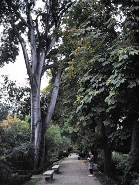 マドリード王立植物園