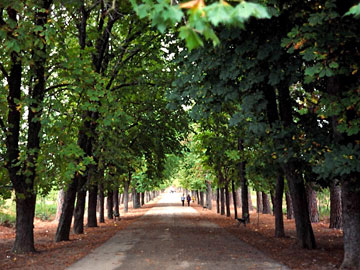 修道院と駅の間の公園