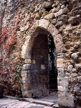 城の中の小さな門