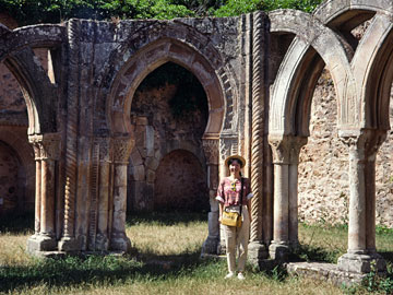 馬蹄形アーチとサリーナ