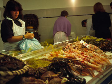 マリスコスが並ぶ