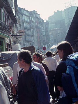 ペット市を歩く