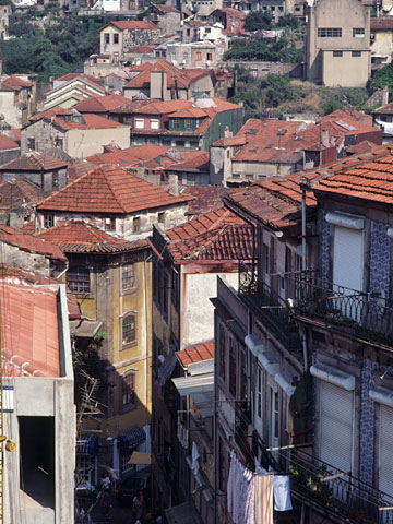 濃密な路地空間が続く