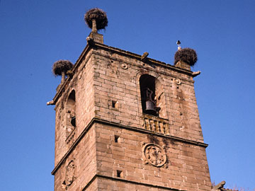 塔の上のコウノトリ