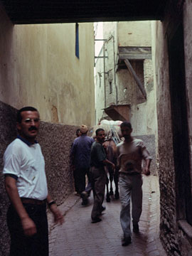 荷運びのロバとすれ違う