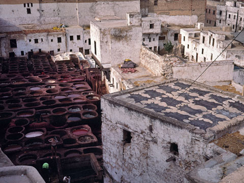 屋上で革を干す