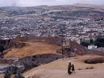 城壁とフェズ・ル・バリ