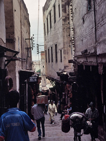 フェズ・ル・バリを行く