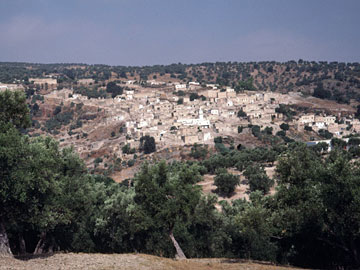 丘を覆うムーレイ・イドリスの町