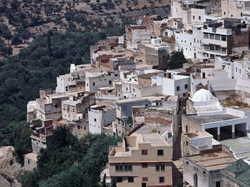 斜面にへばりつく建物
