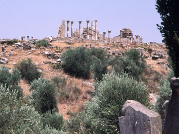 ヴォルビリスの列柱