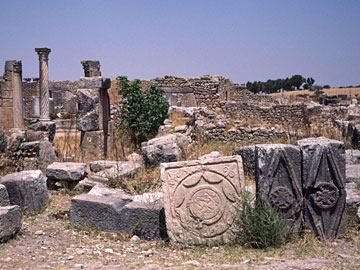 発掘はまだ途上