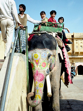 象タクシーに乗る三人