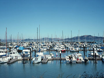 イースト港のヨットハーバー