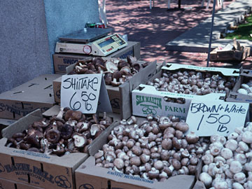 ファーマーズ・マーケット４