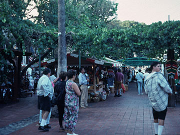 ブドウ棚が木陰をつくる通り