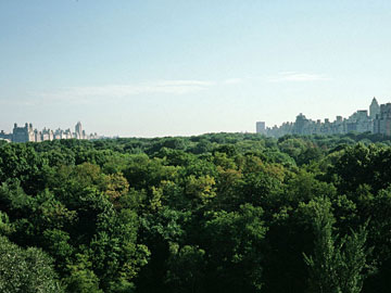 セントラルパークの緑
