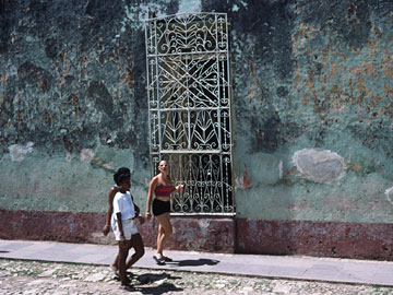 繊細な窓の格子